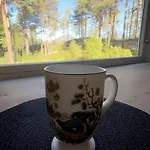 Holiday home Sjarmerende, Rolig Sted I Skogen Med Tre Minutters Gange Fra Bade & Fiskevannet, Nisser Kviteseid
