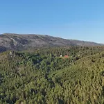 Sjarmerende, Rolig Sted I Skogen Med Tre Minutters Gange Fra Bade & Fiskevannet, Nisser Kviteseid