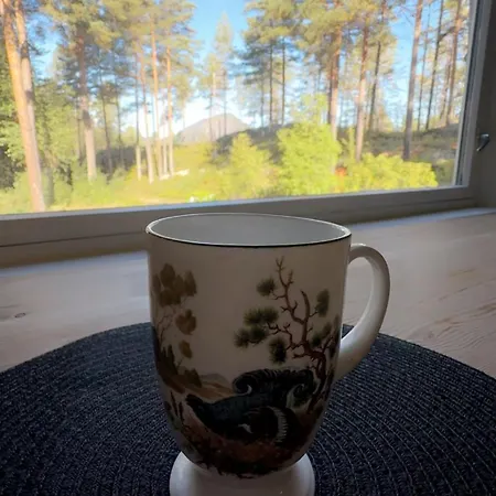 Сasa de vacaciones Sjarmerende, Pa Rolig Sted I Vradal Med Tre Minutters Gange Fra Bade & Fiskevannet, Nisser Kviteseid